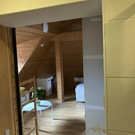 Appartement House Felecia - Phantasialand, Therme Euskirchen, Eifel-region *